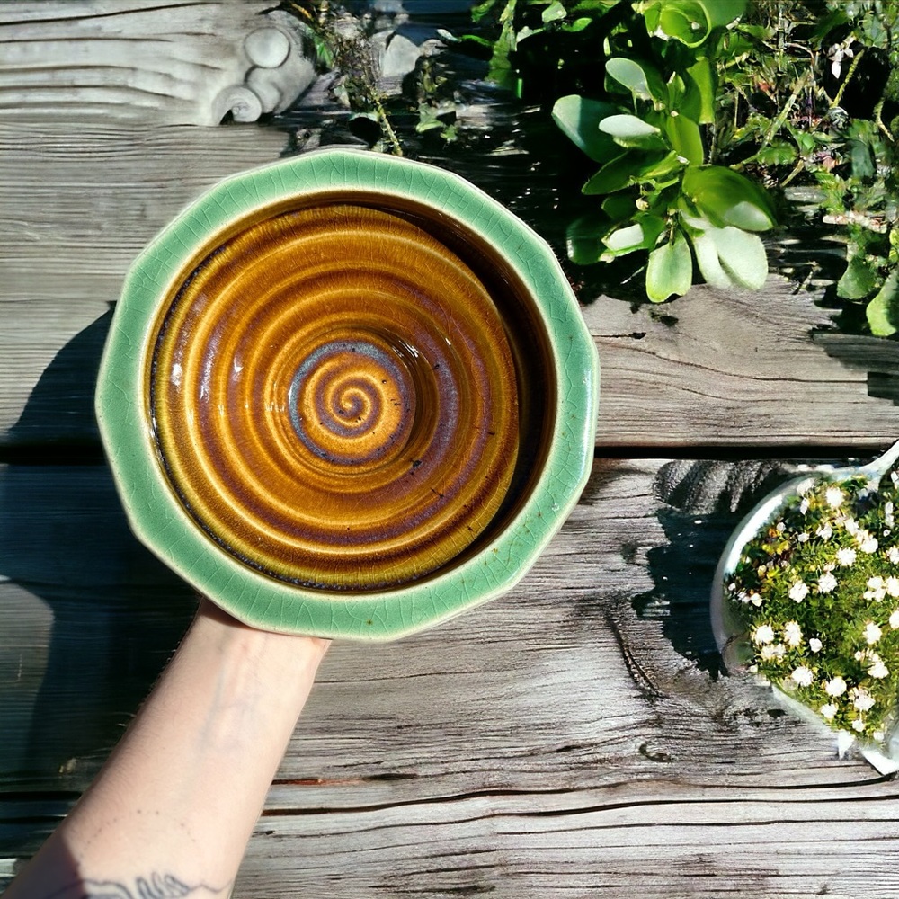 Stephen‎ Fabrico Studio Pottery Bowl Signed Spiral Leaf Celadon Brown Ceramic